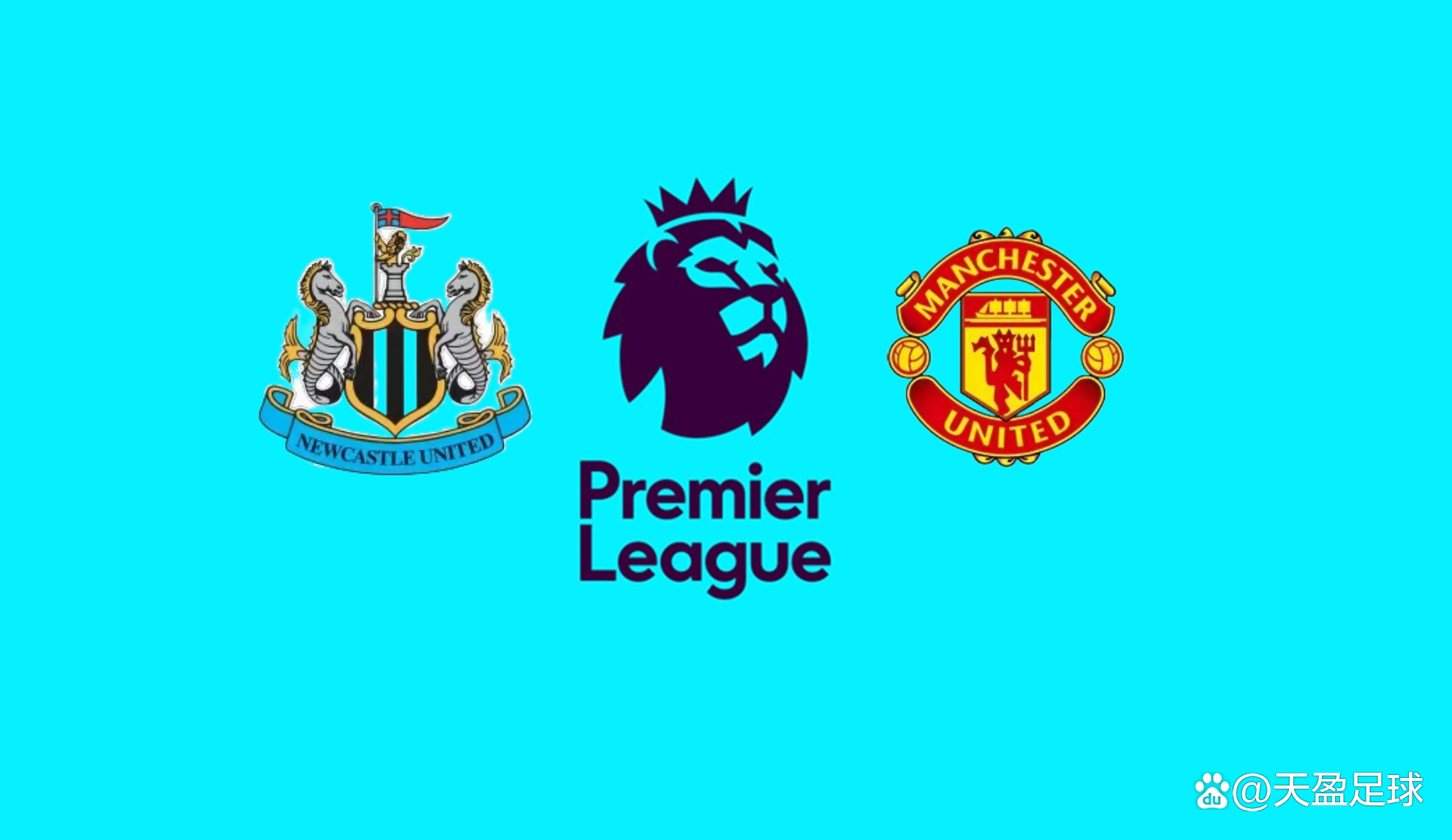 足联规定的 足联规定的