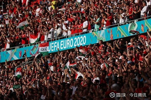 的案例并不 的案例并不