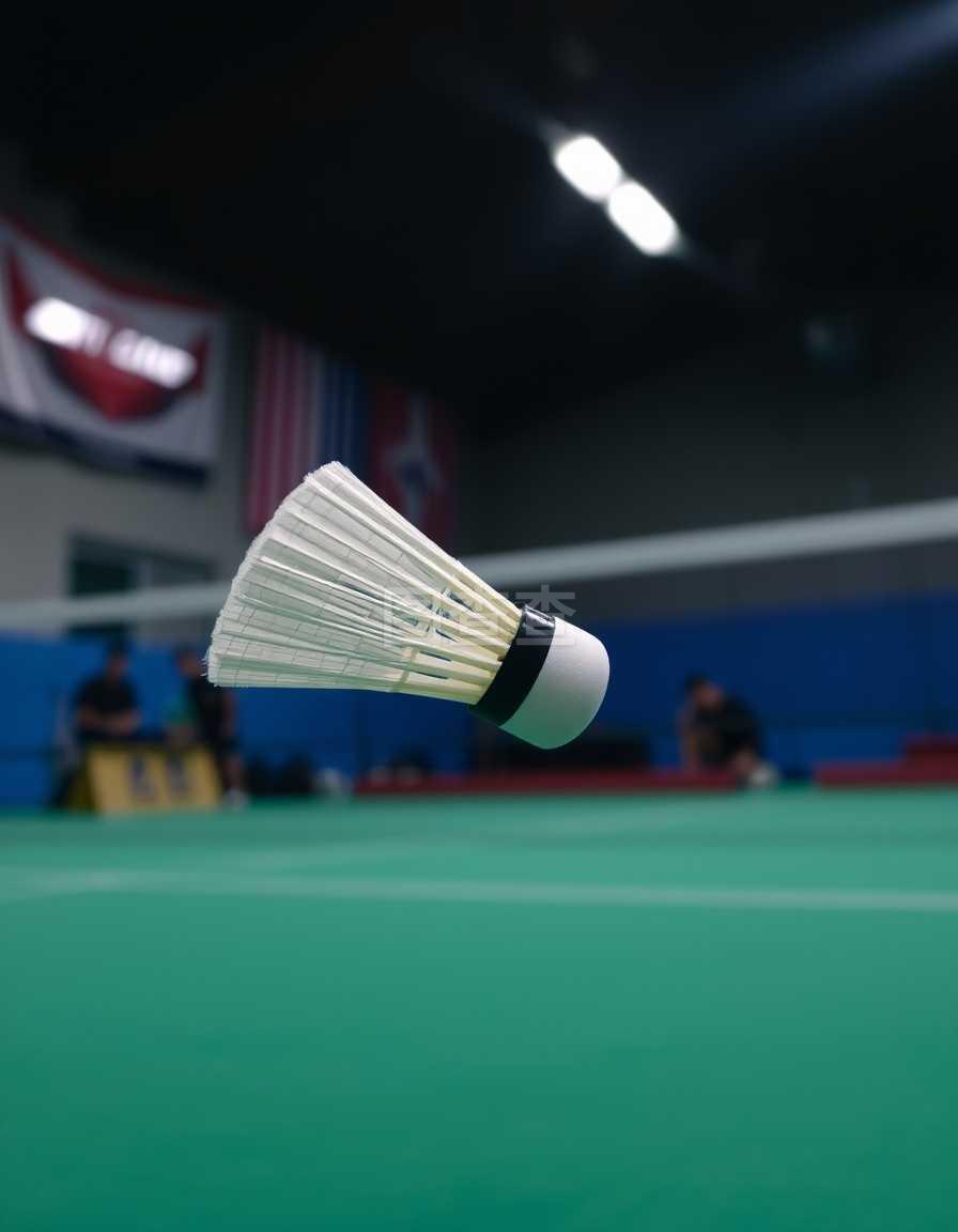 毛球運動 毛球運動